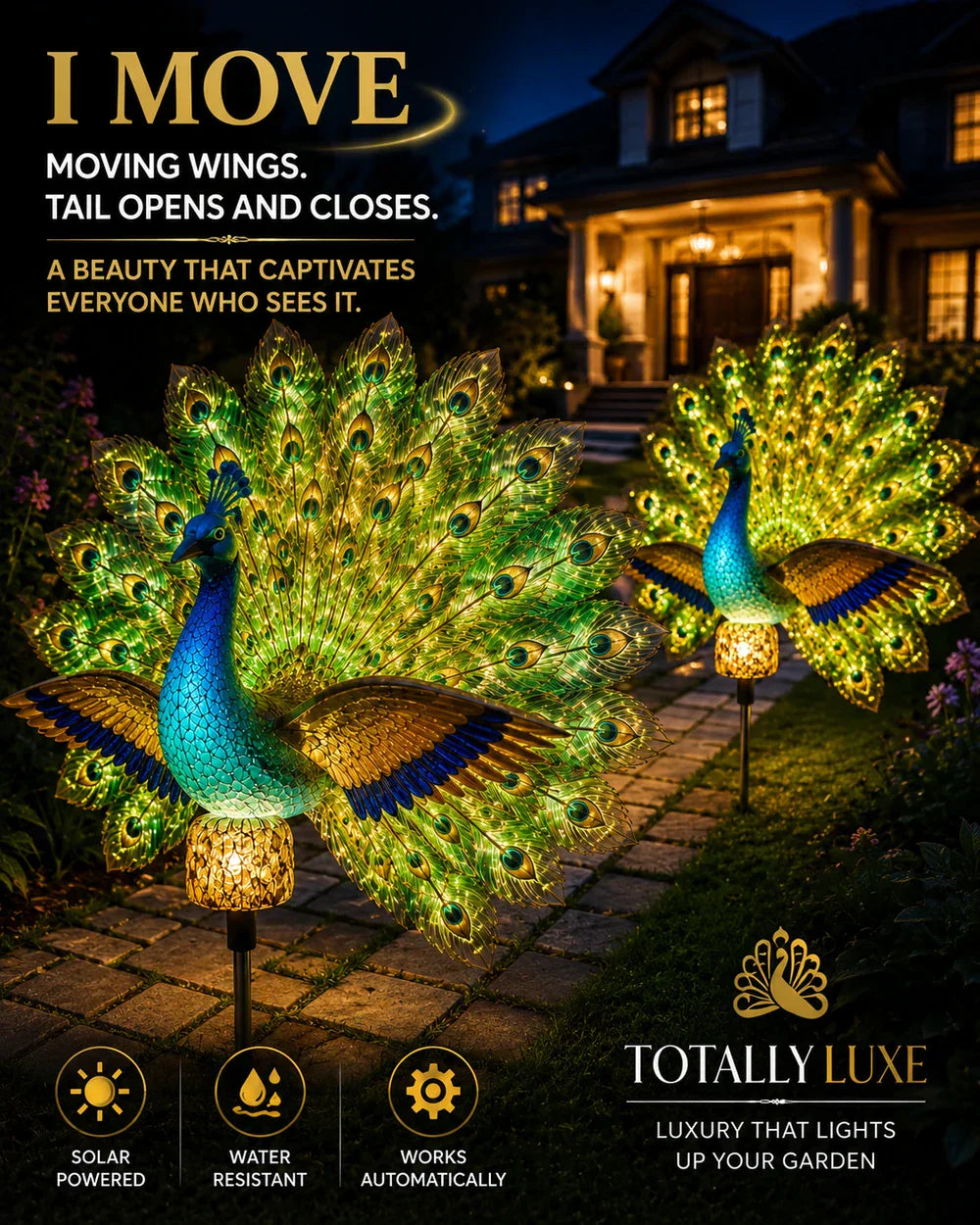 Peacock
