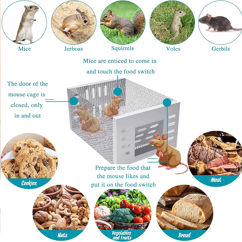 🐁Stainless Steel Automatic Mousetrap