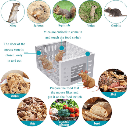 🐁Stainless Steel Automatic Mousetrap