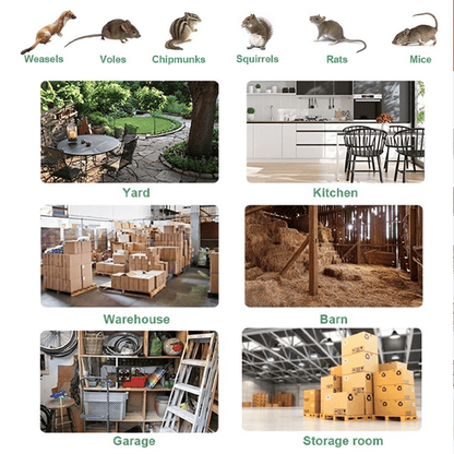 🐁Stainless Steel Automatic Mousetrap