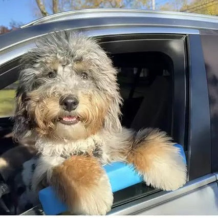 Portable Pet Car Chin Rest