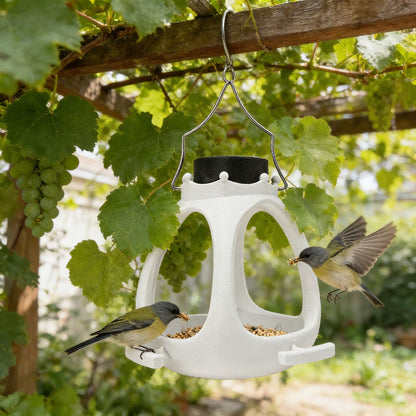 Solar Crown Bird Feeder