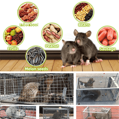 🐁Stainless Steel Automatic Mousetrap