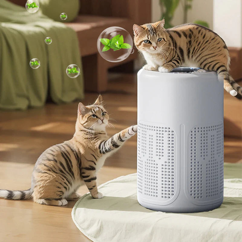 🌬️ Compact Air Purifier
